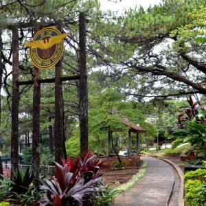 University of the Philippines Baguio